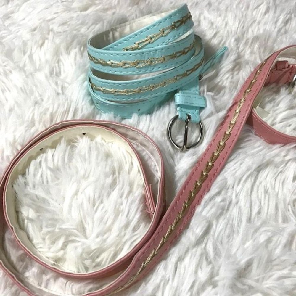 Set of 2 Pink Aqua Vegan Leather Gold Embroidered Fashion Belts